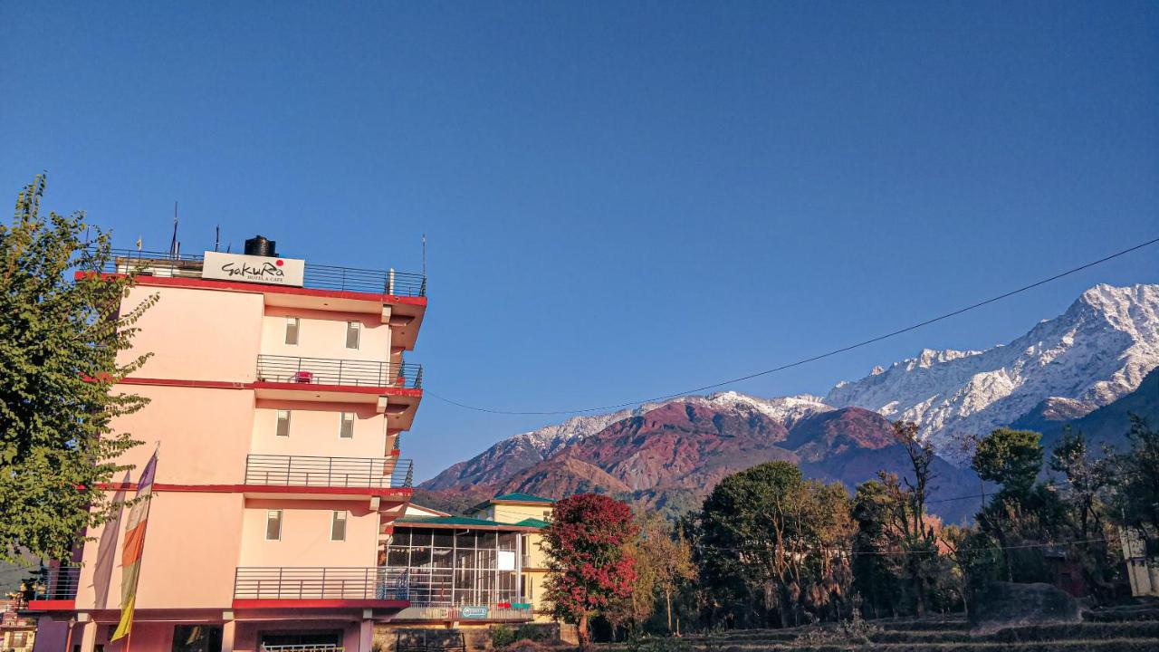 Sakura Guest House Dharamsala Zewnętrze zdjęcie